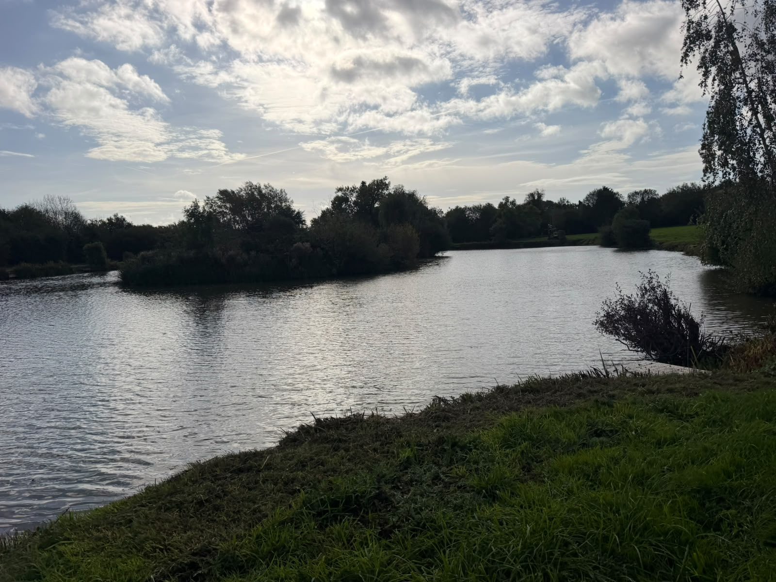The lakes at Green Hill Fishery